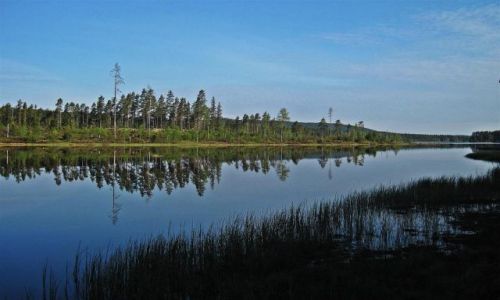 Zdjecie SZWECJA / VARMLAND / OKOLICE  MUNKFORS / TYLKO ZIELE I BKIT  