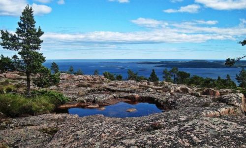 Zdjecie SZWECJA / GAVLEBORG / Nationalpark Skuleskogen / HOGA  KUSTEN