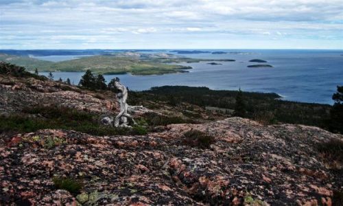 Zdjęcie SZWECJA / GAVLEBORG / SKULESKOGEN  NATIONALPARK  / SKULESKOGEN  NATIONALPARK