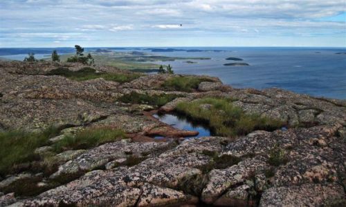 Zdjęcie SZWECJA / GAVLEBORG / SKULESKOGEN  NATIONALPARK  / SKULESKOGEN  NATIONALPARK