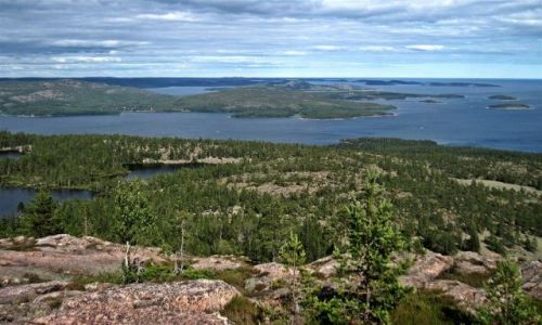 Zdjęcie SZWECJA / GAVLEBORG / SKULESKOGEN  NATIONALPARK  / SKULESKOGEN  NATIONALPARK