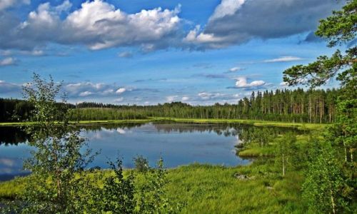 Zdjcie SZWECJA / LAPONIA / OKOLICE  NORSJO / NATURRESERVAT