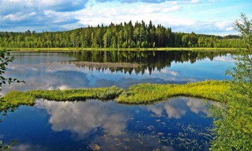 Zdjcie SZWECJA / LAPONIA / OKOLICE  NORSJO / NATURRESERVAT
