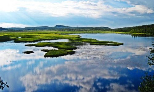 Zdjcie SZWECJA / LAPONIA / OKOLICE  NORSJO / NATURRESERVAT