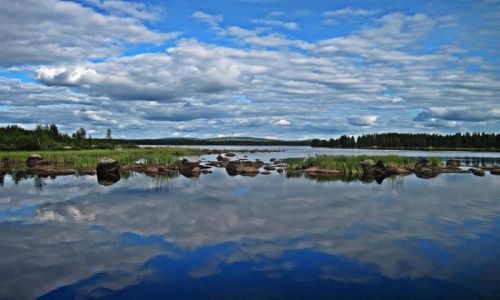 Zdjecie SZWECJA / NORRBOTTEN  / GDZIE W LAPONII / NAD RZEK  SKELLEFTALVEN