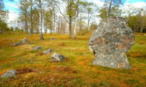 Zdjecie SZWECJA / Sdermanland / Sztokholm / Nykoping