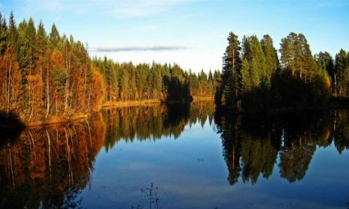 Zdjęcie SZWECJA / VASTERBOTTEN / OKOLICE  ASELE / JESIEŃ W LAPONII