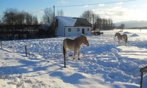 Zdjecie SZWECJA / VASTMANLAND / SATRA BRUNN / ZIMOWA  SZWECJA 4