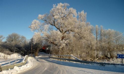 Zdjecie SZWECJA / VASTMANLAND / OKOLICE  VASTERAS / SZADZI  MALOWANE  2