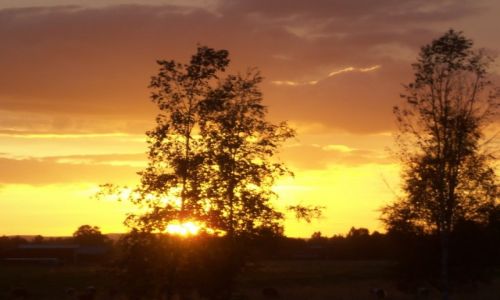 Zdjecie SZWECJA / Dalarna / Appelbo / Skandynawia