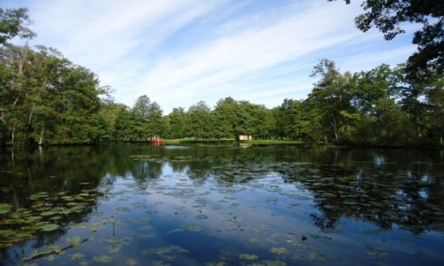 Zdjcie SZWECJA / Sztokholm / Drotningholm / Park paacowy (2)
