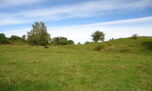 Zdjęcie SZWECJA / Sztokholm / Ekero / Hovgarden / Hovgarden