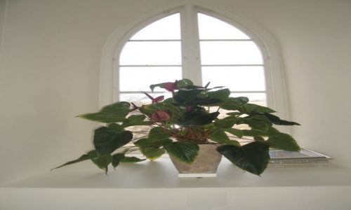 Zdjęcie SZWECJA / Ockero / okno w kościele ewangelickim / ewangeliczna czystość