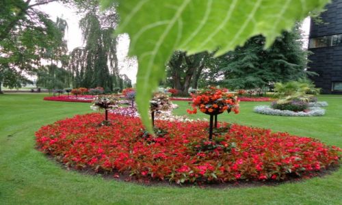 Zdjcie SZWECJA / Kalmar lan. / Kalmar. / Rowerem po Olandii, Gotlandii, Faro i Pwyspie Skandynawskim kawaek.