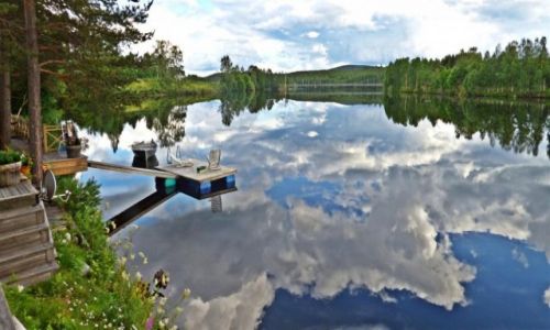 Zdjecie SZWECJA / Vasterbotten / Okolice Lycksele-Laponia / Uroki Laponii