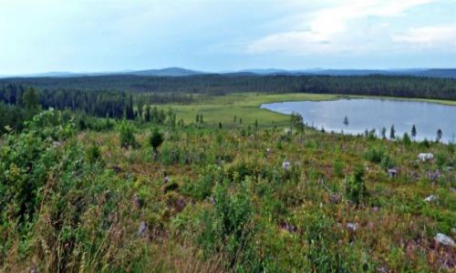 Zdjcie SZWECJA / Vasterbotten / Okolice Lycksele-Laponia / Laponia