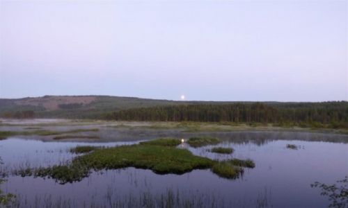 Zdjęcie SZWECJA / Vasterbotten / Okolice Storuman-Laponia / Białe noce