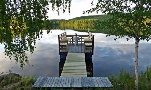 Zdjecie SZWECJA / Vasterbotten / Okolice Lycksele-Laponia / A moe kawk przy wschodzie soca :)