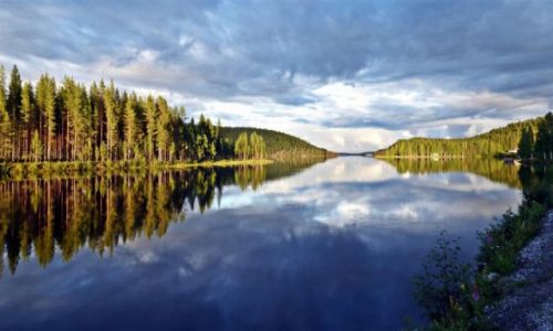 Zdjcie SZWECJA / Vasterbotten / Okolice Lycksele-Laponia / Umealven