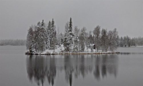 Zdjcie SZWECJA / Vasterbotten / Okolice Asele / Zimowa kraina