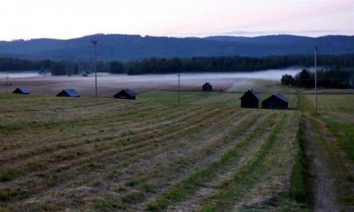 Zdjecie SZWECJA / Vasterbotten / OKOLICE NORSJO-LAPONIA / Biae noce 2