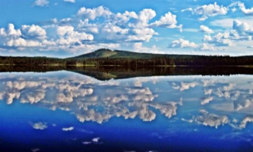 Zdjecie SZWECJA / Vasterbotten / OKOLICE NORSJO-LAPONIA / Senne popoudnie