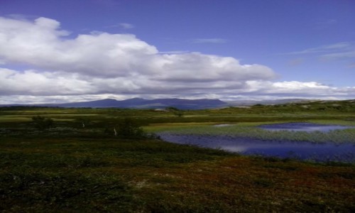 Zdjcie SZWECJA / Norrbotten / Kvikkjok / Bliej nieba