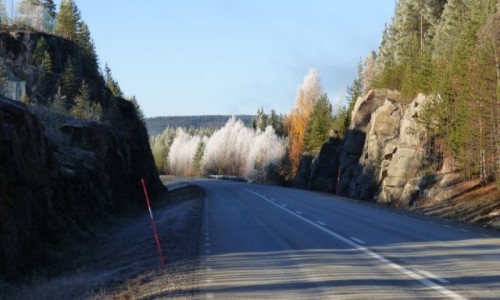 Zdjcie SZWECJA / Vasterbotten / Okolice Lycksele-Laponia / Laposkie barwy jesieni 