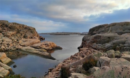 Zdjcie SZWECJA / Vastra Gotaland / Smgen / Skaliste wybrzee nad Morzem Pnocnym