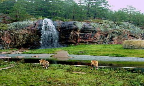 Zdjęcie SZWECJA / okolice Norrkoping / nadbałtyckie zoo / Jak w raju