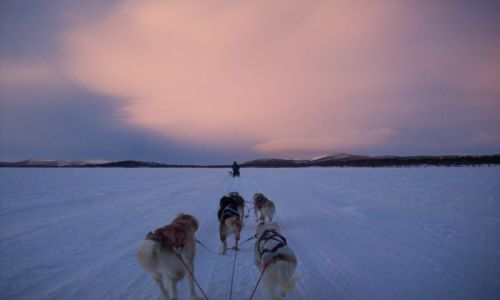 Zdjecie SZWECJA / Laponia / Kiruna / Sen o wolnoci..