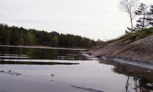 Zdjecie SZWECJA / okolice stockholm / jakobsberg / jzioro