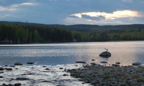 Zdjecie SZWECJA / Halsingland / Rengsjo / Jezioro Storsjon