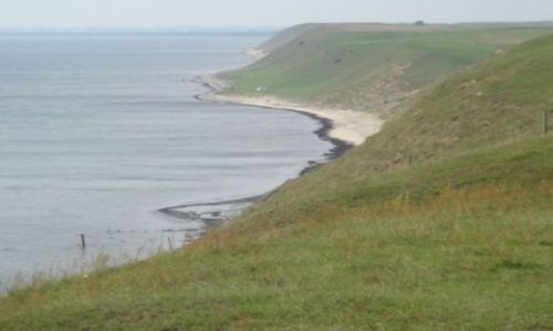 Zdjęcie SZWECJA / brak / Koseberga / widok przy kręgu wikingów