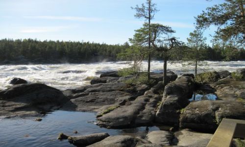 Zdjęcie SZWECJA / VASTERBOTTEN-LAPONIA / VORMFORSEN / SYMBIOZA