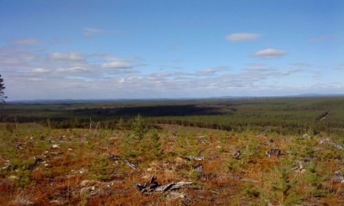 Zdjcie SZWECJA / VASTERBOTTEN-LAPONIA / KOMUNA MALA / UROKI LAPONII