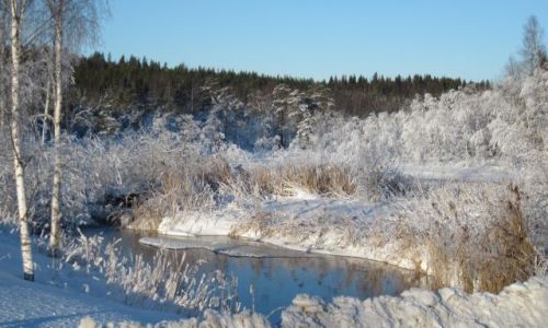 Zdjecie SZWECJA / DALARNA / OKOLICE VIKA / SZADZI MALOWANE