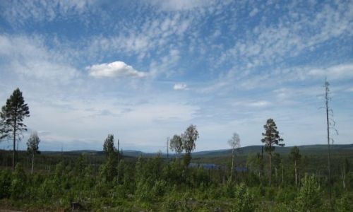 Zdjcie SZWECJA / VASTERBOTTEN-LAPONIA / OKOLICE BJORKSELE / UROKI LAPONII-1