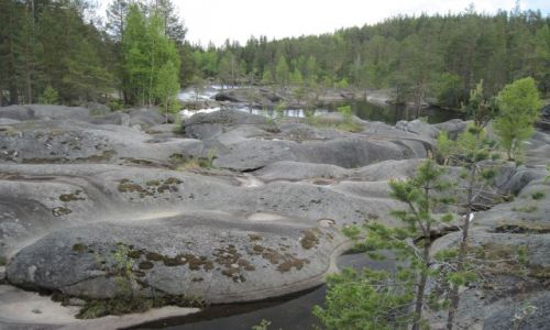 Zdjęcie SZWECJA / VASTERBOTTEN / MARDSELFORSENS / REZERWAT  PRZYRODY