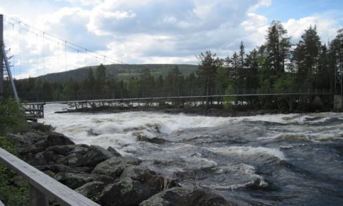 Zdjecie SZWECJA / VASTERBOTTEN / MARDSELFORSEN / MARDSELFORSENS NATURRESERVAT