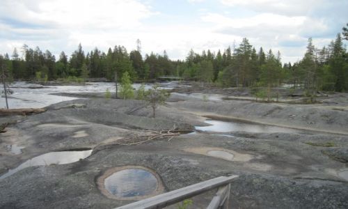 Zdjecie SZWECJA / VASTERBOTTEN / MARDSELFORSEN / MARDSELFORSENS NATURRESERVAT