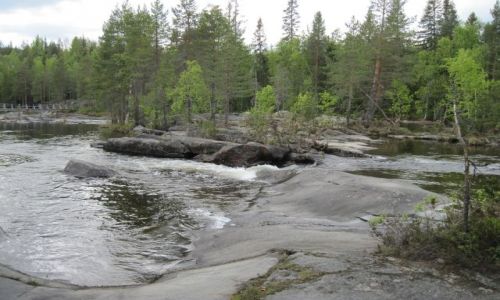 Zdjecie SZWECJA / VASTERBOTTEN / MARDSELFORSEN / MARDSELFORSENS NATURRESERVAT