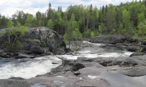 Zdjecie SZWECJA / VASTERBOTTEN / MARDSELFORSEN / MARDSELFORSENS NATURRESERVAT