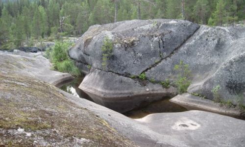 Zdjecie SZWECJA / VASTERBOTTEN / MARDSELFORSEN / MARDSELFORSENS NATURRESERVAT