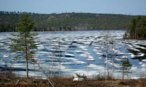 Zdjecie SZWECJA / VASTERBOTTEN / OKOLICE SKELLEFTEA /  MOZAIKA