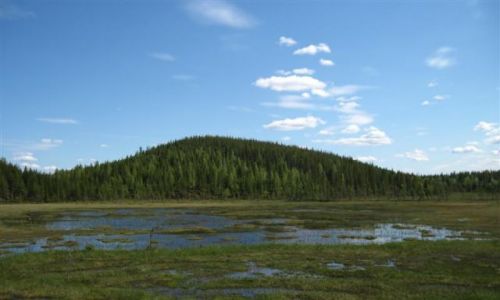 Zdjcie SZWECJA / VASTERBOTTEN-LAPONIA / KOMUNA LYCKSELE / BAGIENKO