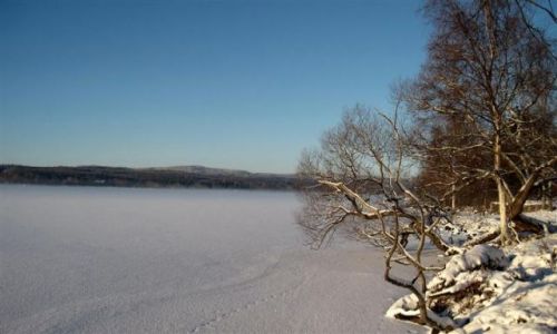 Zdjęcie SZWECJA / DALARNA / OKOLICE SMEDJEBACKEN / JEZIORO BARKEN