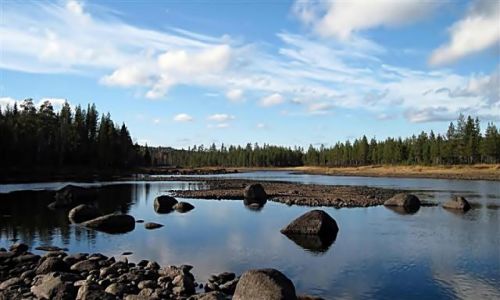 Zdjecie SZWECJA / VASTERBOTTEN-LAPONIA / OKOLICE BJORKSELE / NAD ROZLEWISKIEM