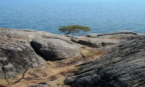 Zdjęcie SZWECJA / STOCKHOLM / NYNASHAMN / SAMOTNOŚĆ