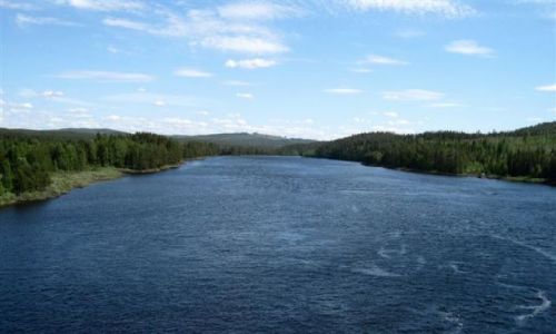 Zdjcie SZWECJA / VASTERBOTTEN-LAPONIA / OKOLICE BJORKSELE / RZEKA VINDELALVEN